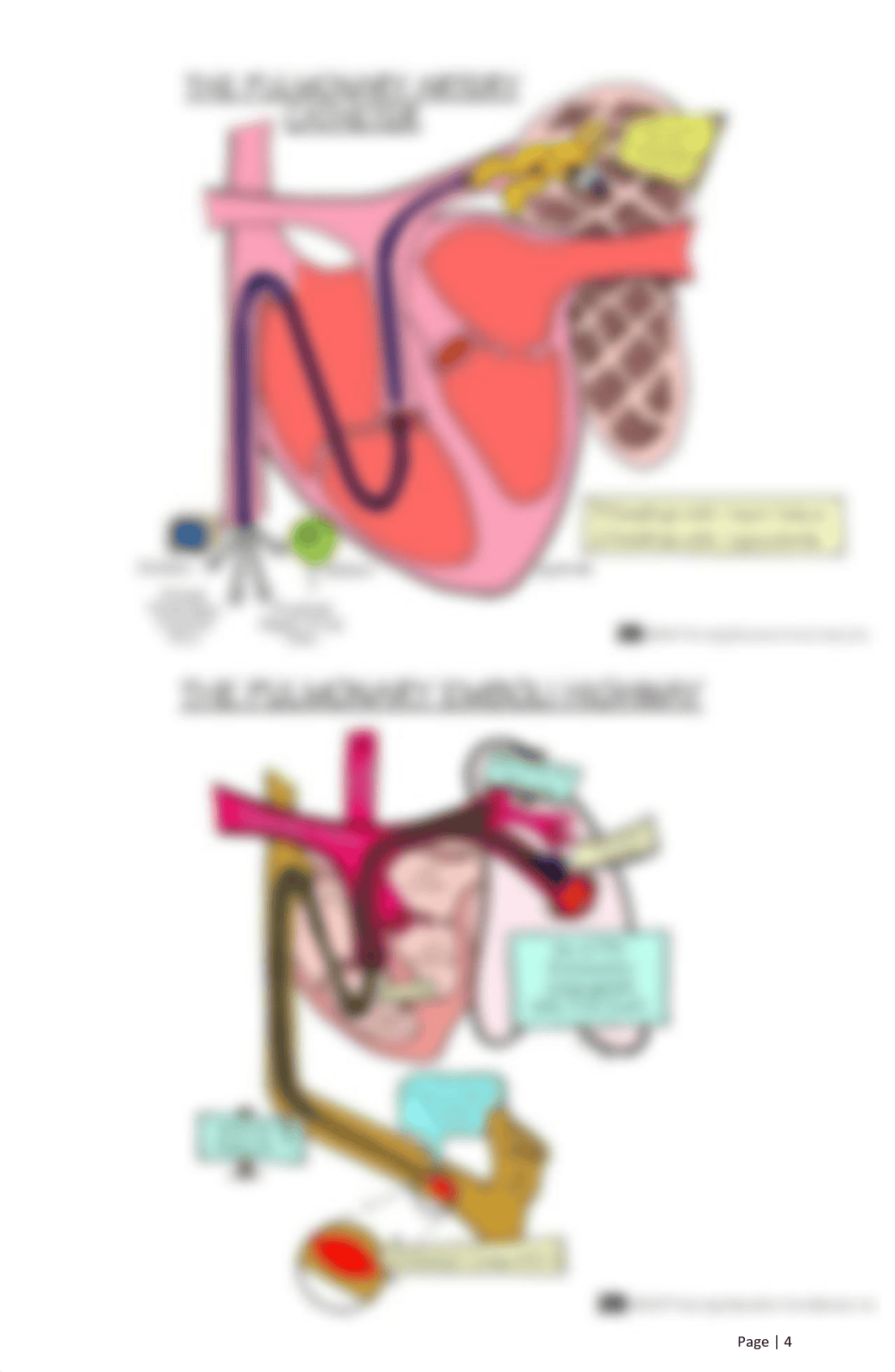 216985669-Nursing-Mnemonics.pdf_d9ntb62r914_page4