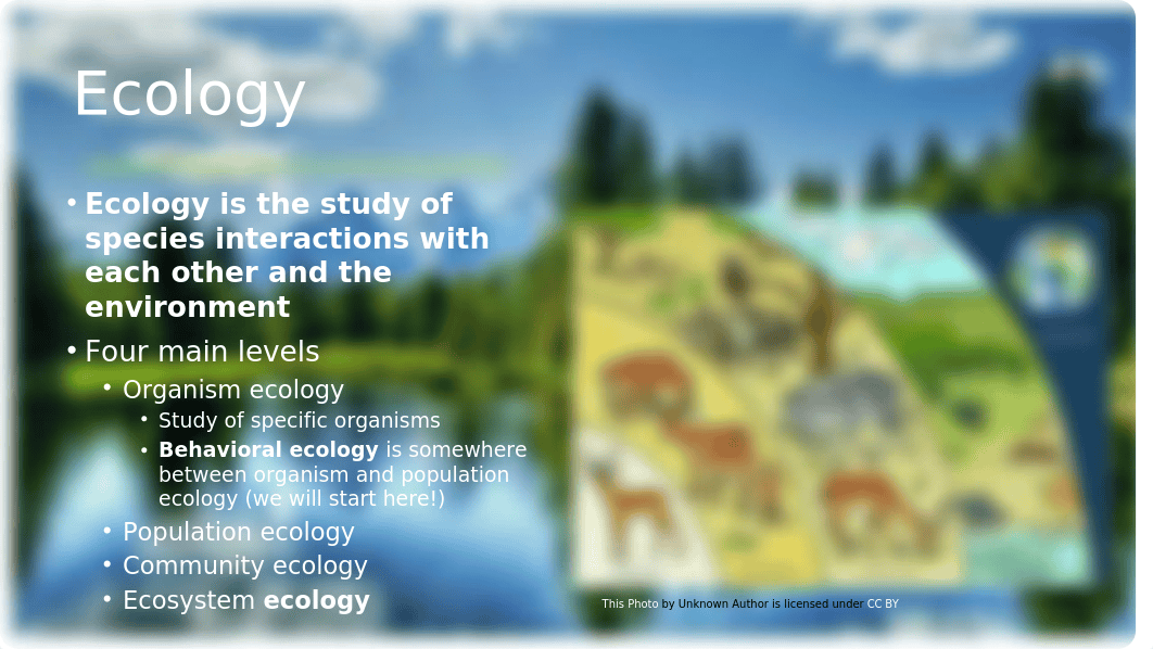 Ecology Lab(1).pptx_d9og9prnfqi_page4