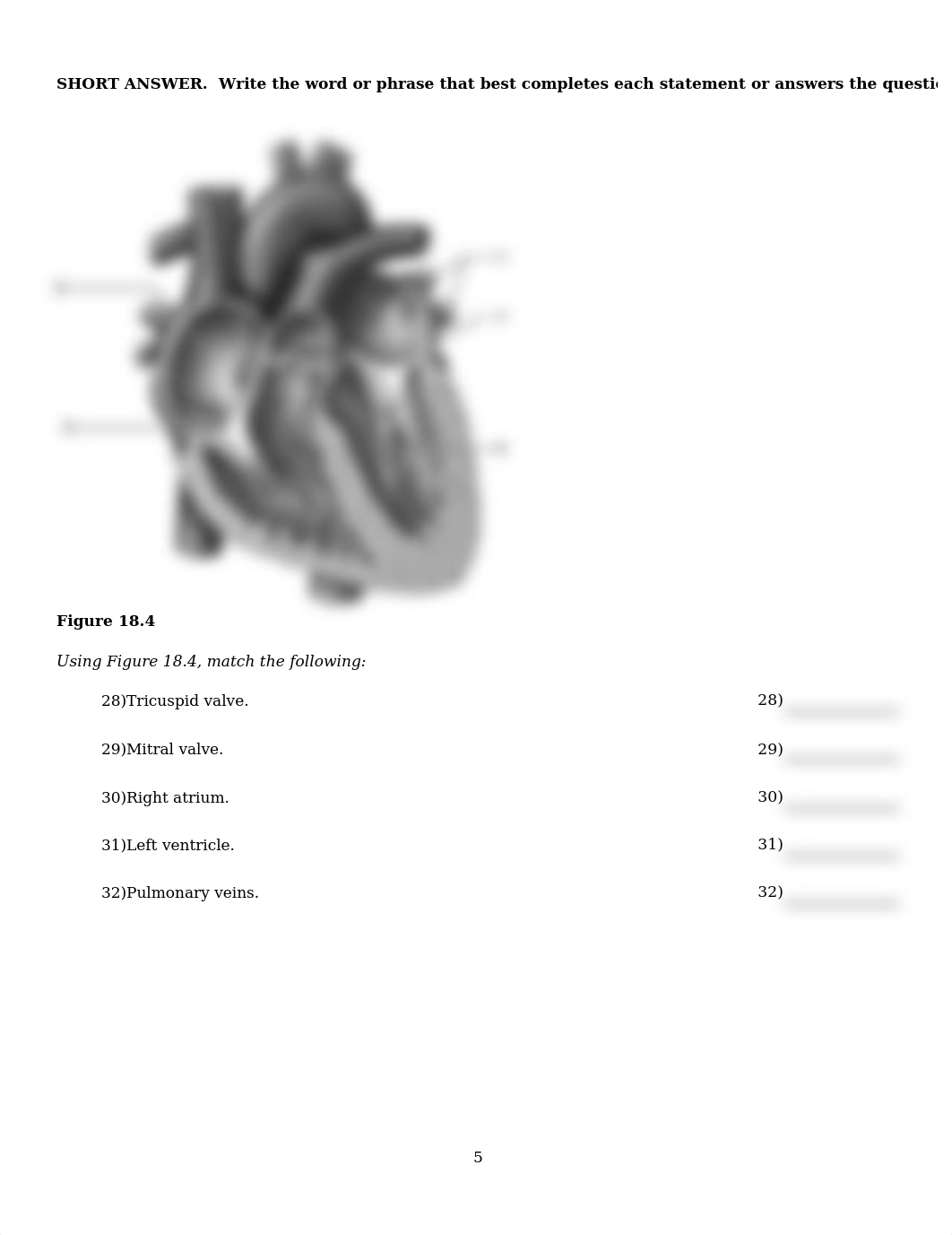 ch18.PDF_d9oo3l9ru50_page5