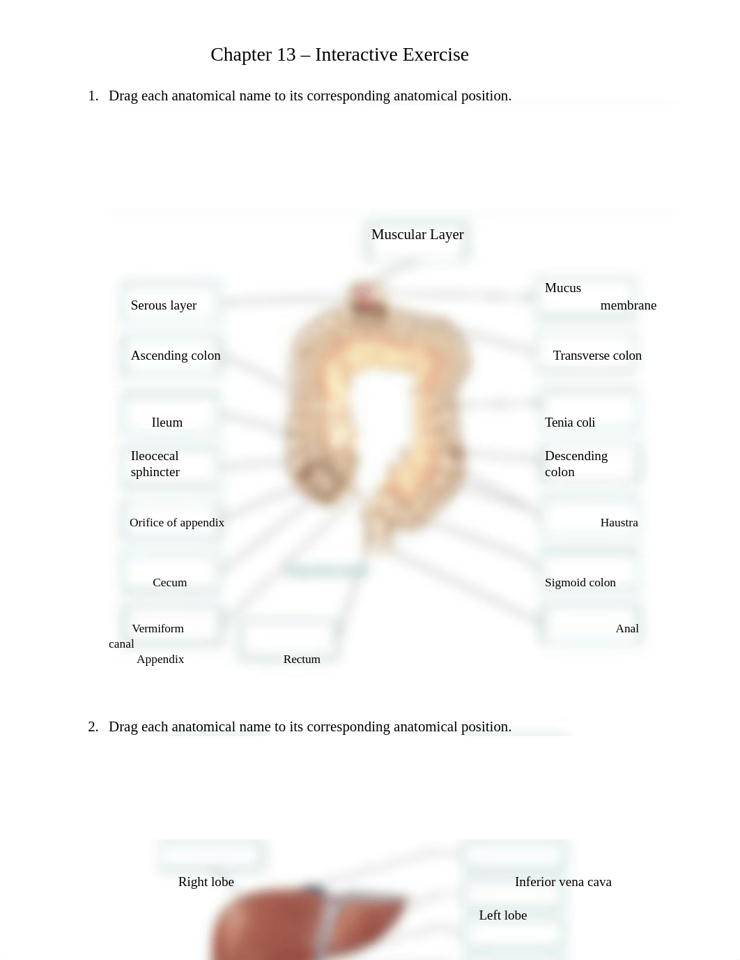 Chapter 13 - Ineractive Exercise.docx_d9oxki8mo3o_page1