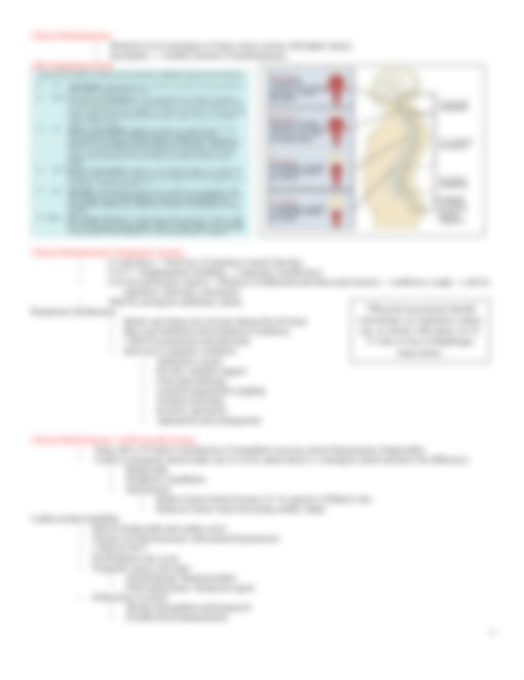 spinal cord & peripheral nerve.docx_d9ozddh4hqm_page3