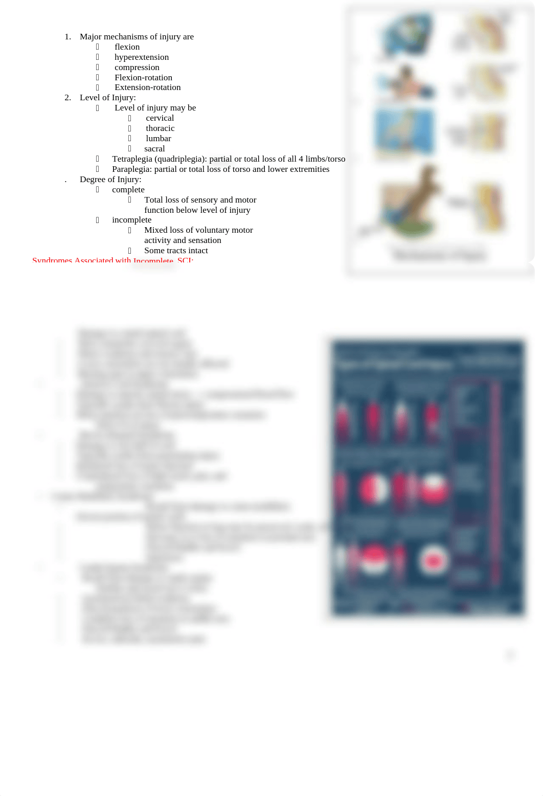 spinal cord & peripheral nerve.docx_d9ozddh4hqm_page2