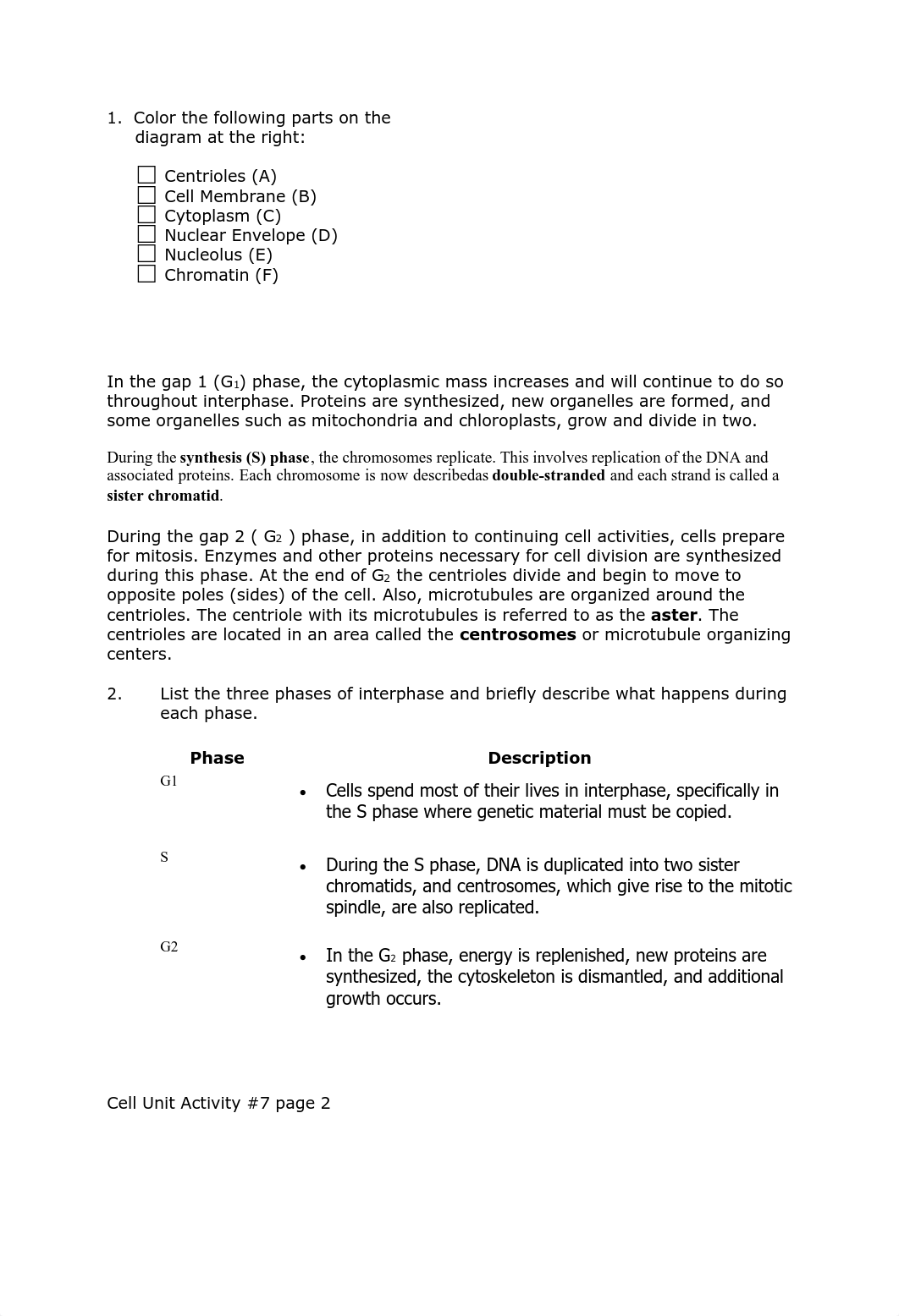 Cell_cycle_student fillable (1).pdf_d9ozgrdpv76_page2