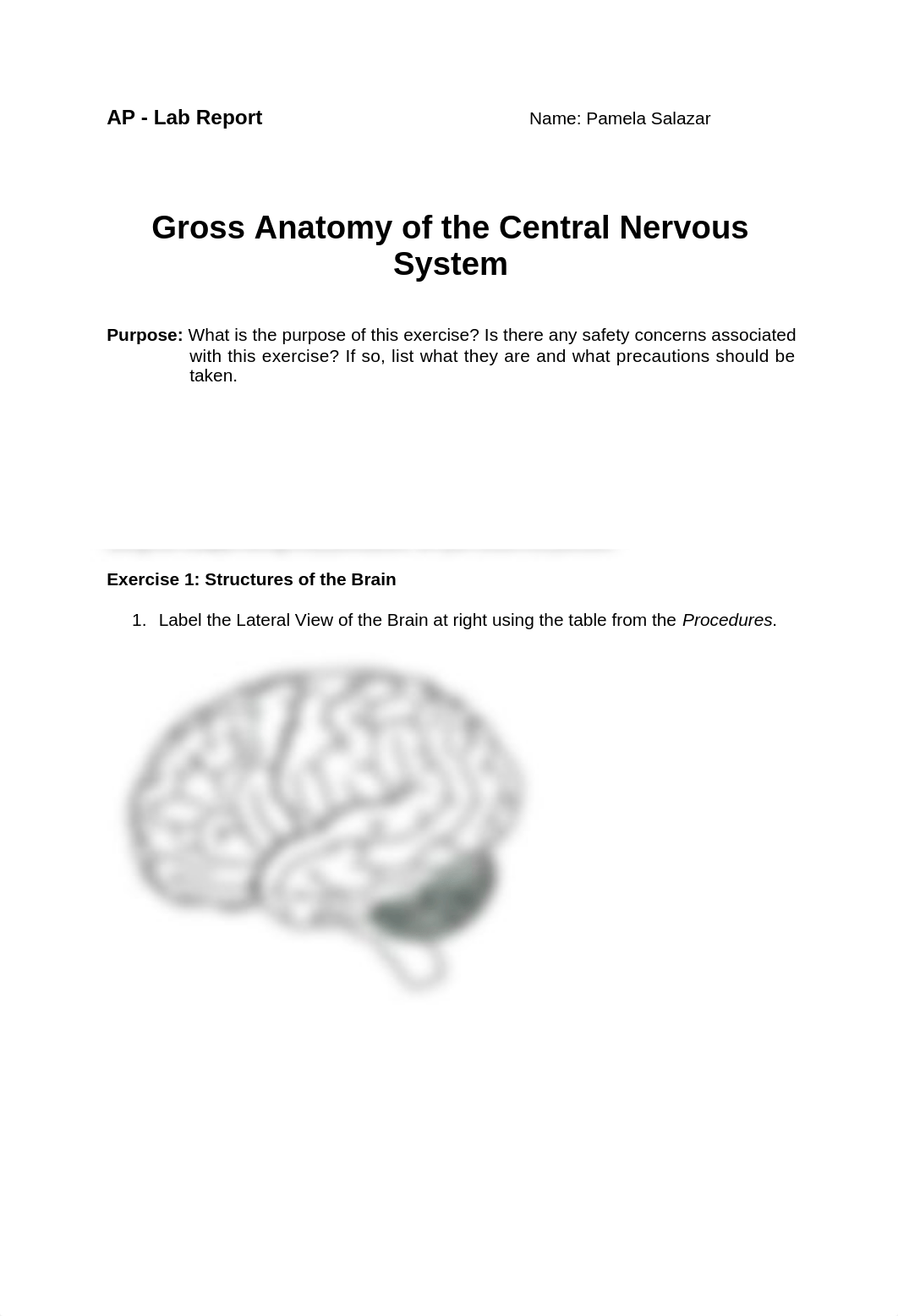 unit4nervous system_d9p7cocquh9_page1