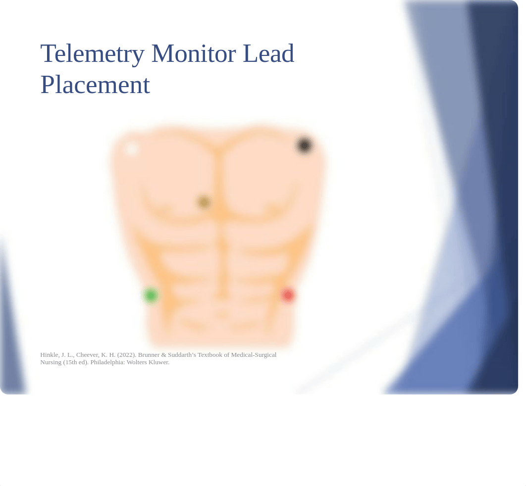 NURS 223 Week 1 lecture part 2 (1).ppt_d9ped3yoqkb_page4