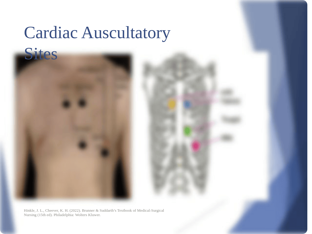 NURS 223 Week 1 lecture part 2 (1).ppt_d9ped3yoqkb_page3