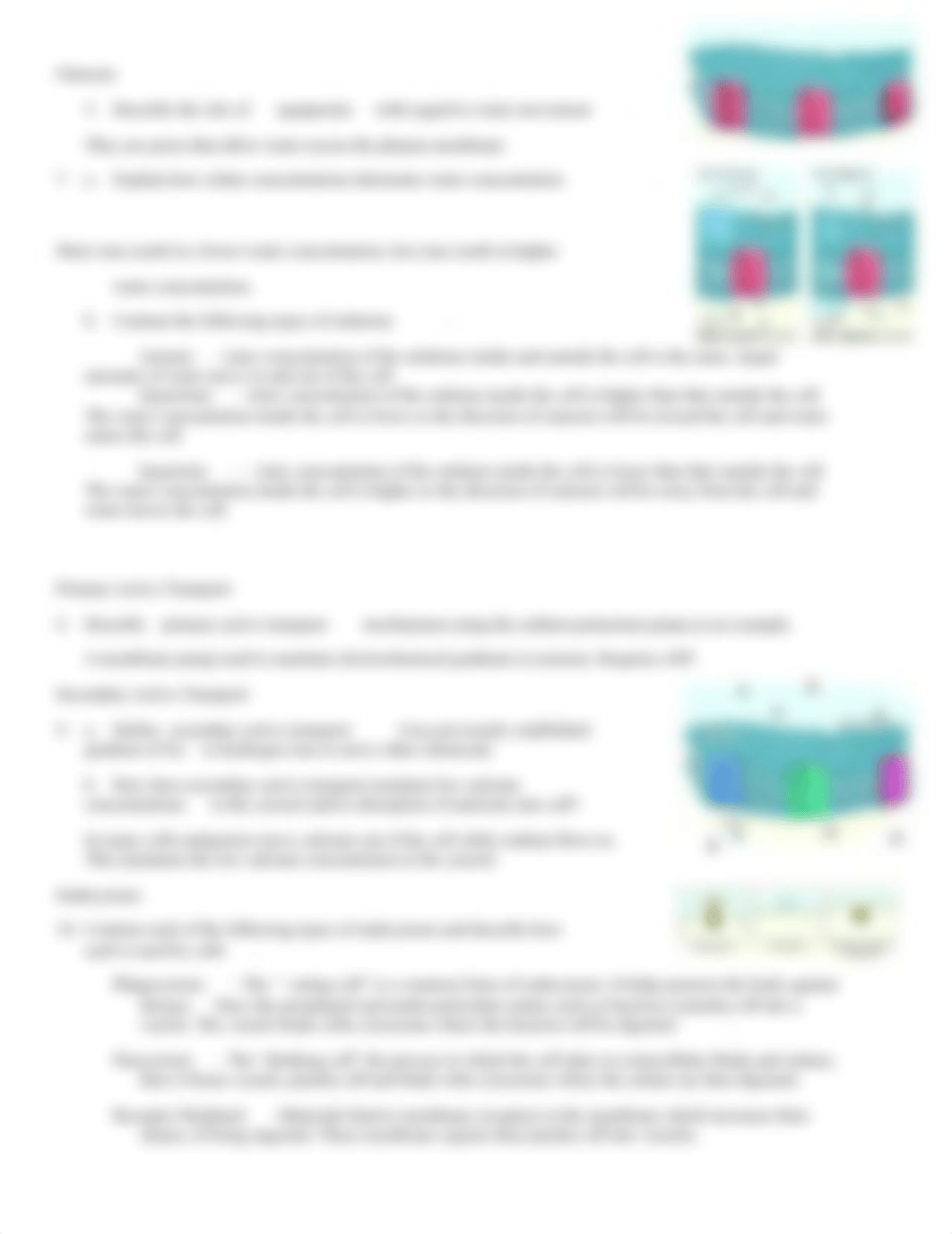 anim_transport_across_plasma_membrane_answer_key_d9pfxj9axy8_page2