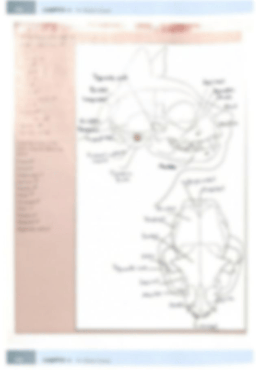 Lab manual assignment chap 6 skeletal system.pdf_d9pszoxfj7z_page3