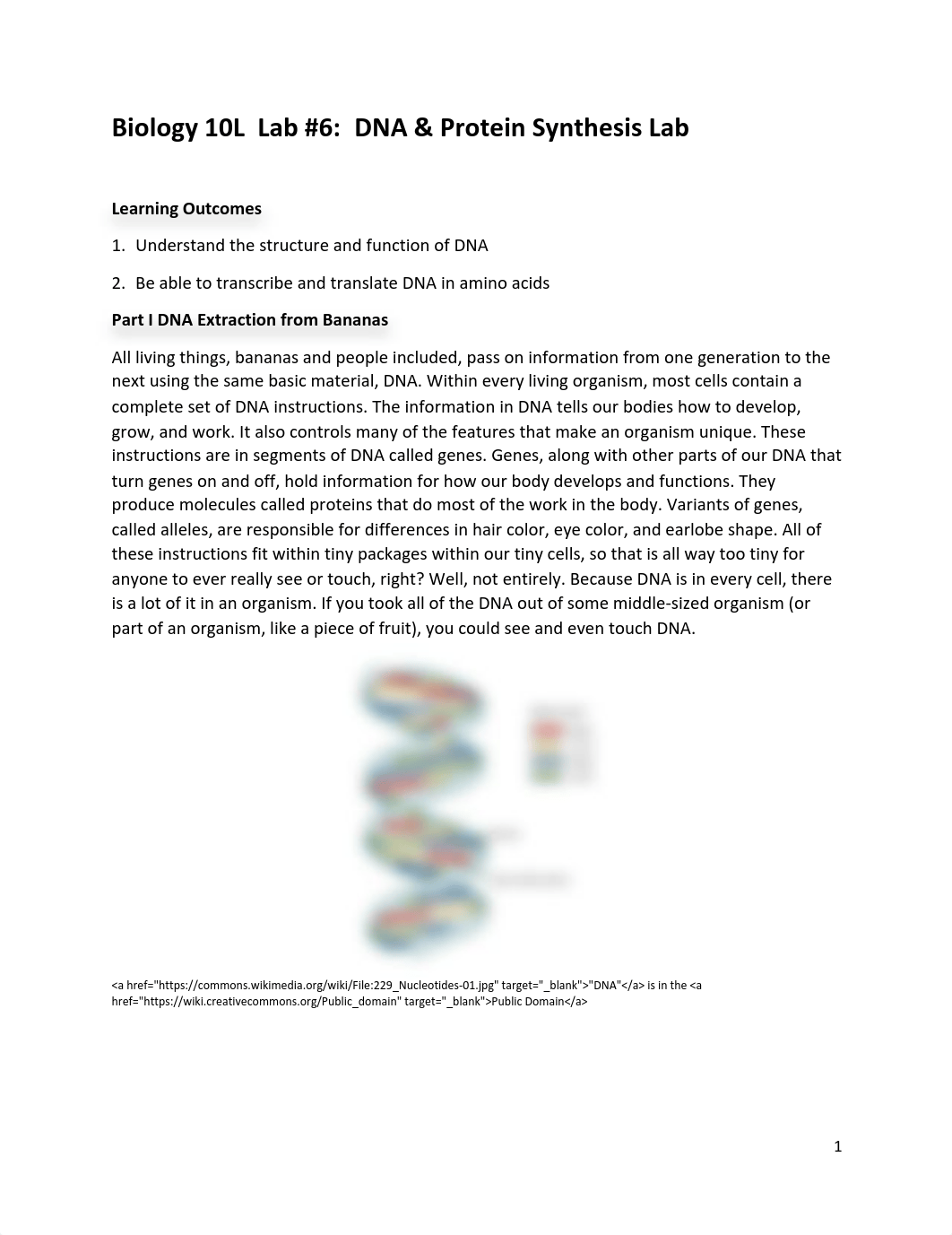 6. DNA & Protein Synthesis Lab.pdf_d9pu7u4qmt6_page1