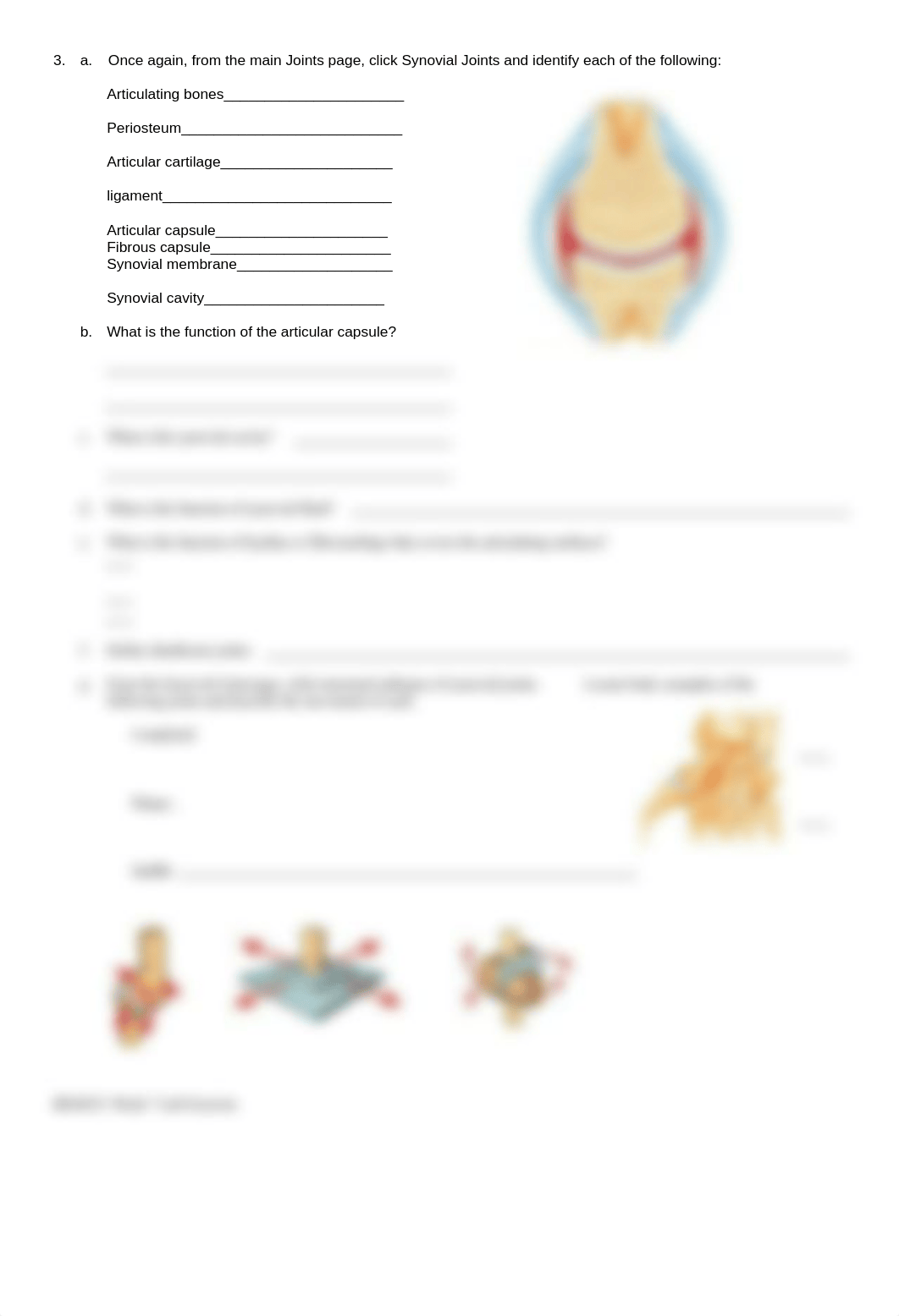 BIOS251 Week 7 Lab Exercise_d9pwe8ol5o5_page3