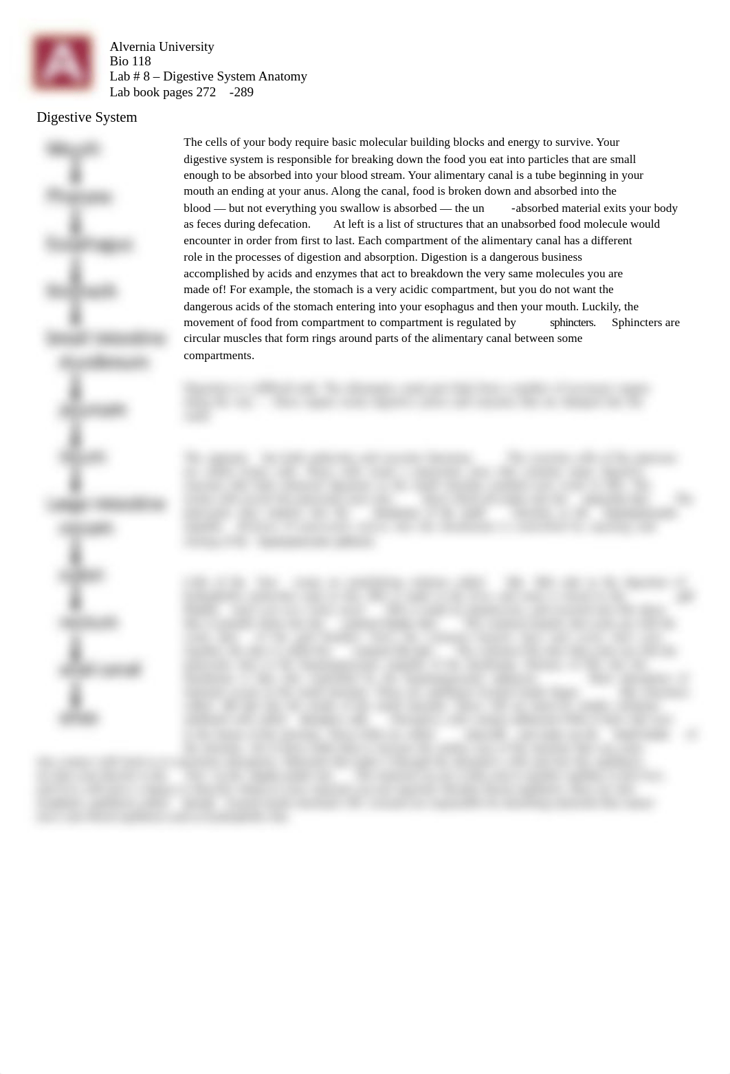 BIO 118 Lab 8 Digestive System Anatomy(1)_973956.pdf_d9py1v1m6vf_page1