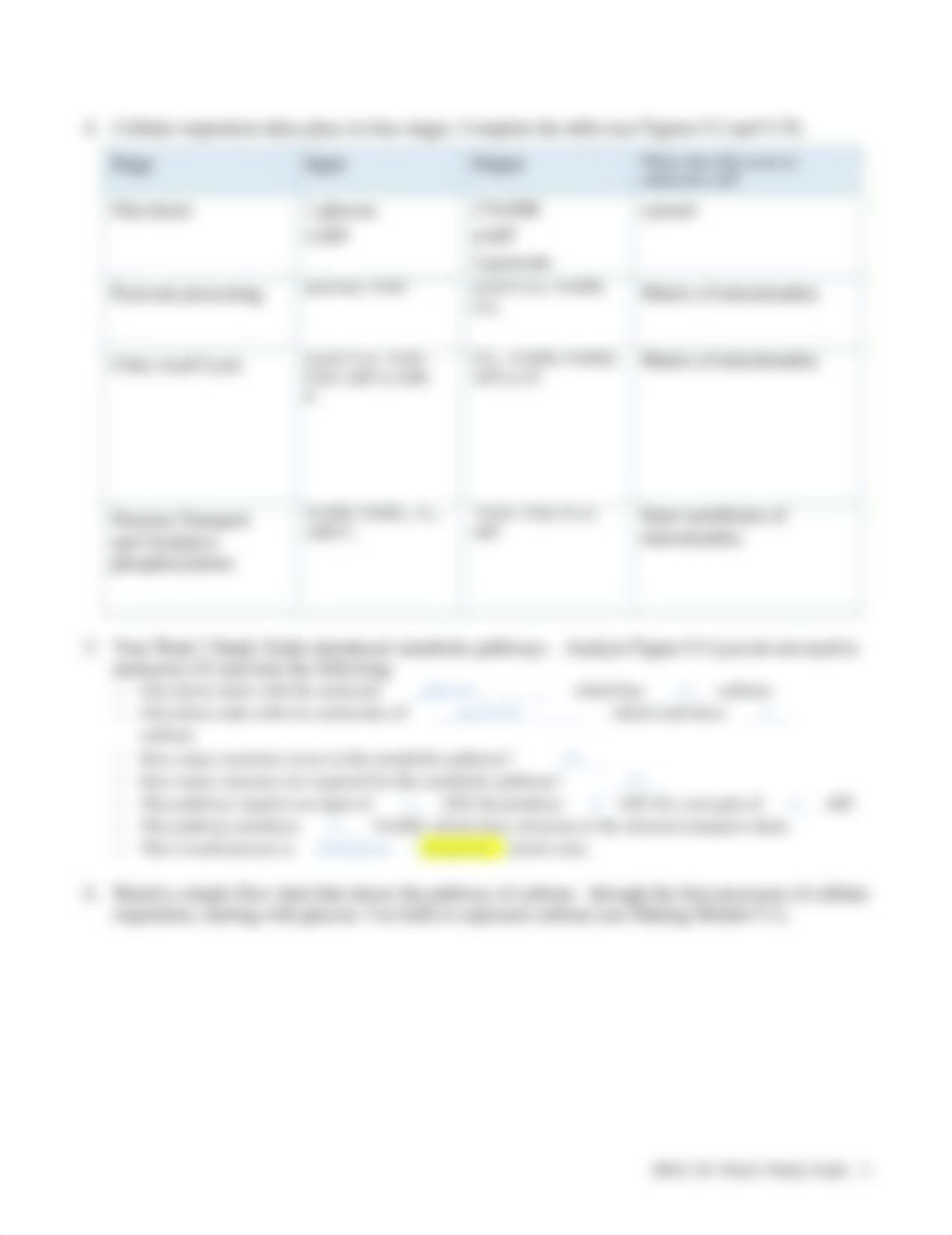 BIOL201 SG W09 Cellular Respiration.docx_d9py2wgfwng_page2