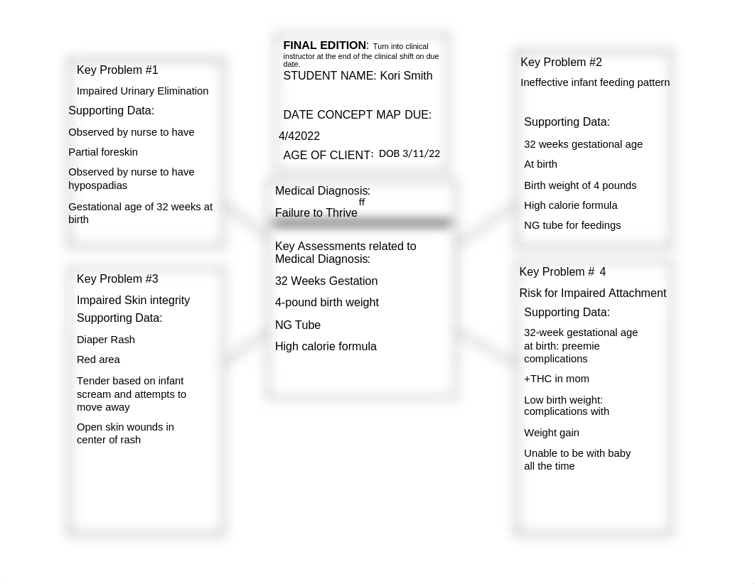 RNUR 138 Concept Mapping Packet.docx_d9q6mh0ldw7_page2