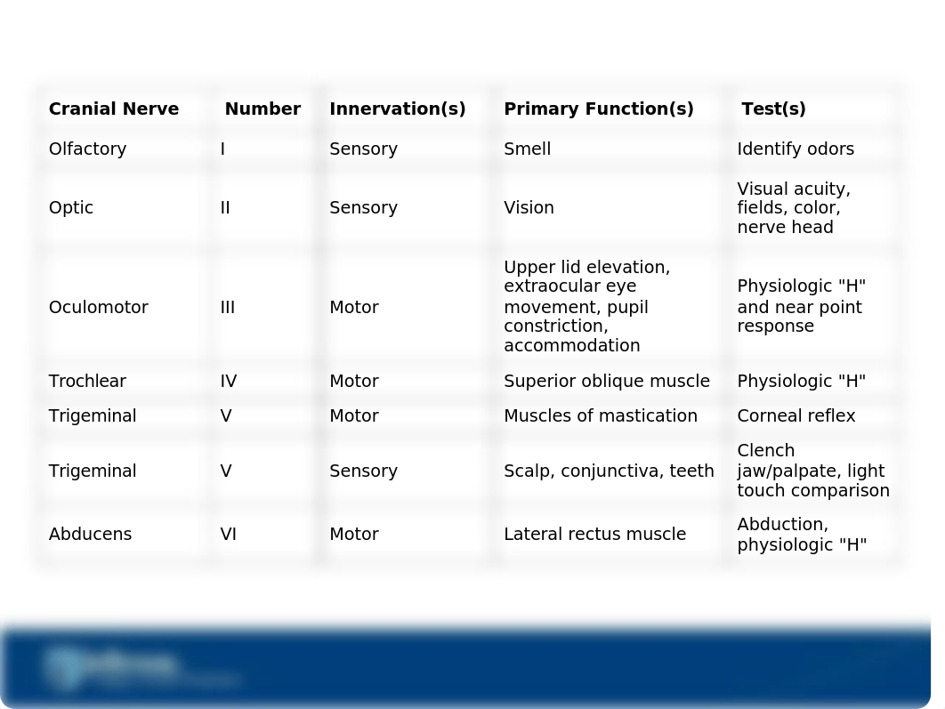 Cranial Nerves Lecture(1).ppt_d9qn2lqho3y_page2