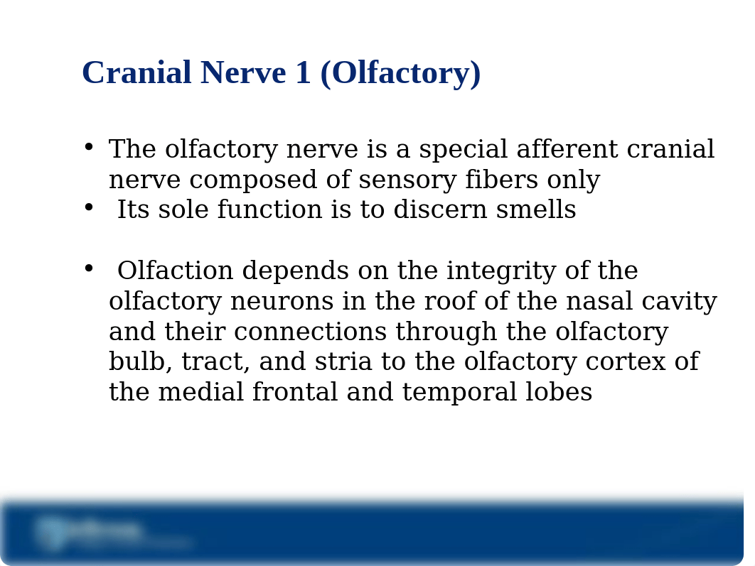 Cranial Nerves Lecture(1).ppt_d9qn2lqho3y_page4