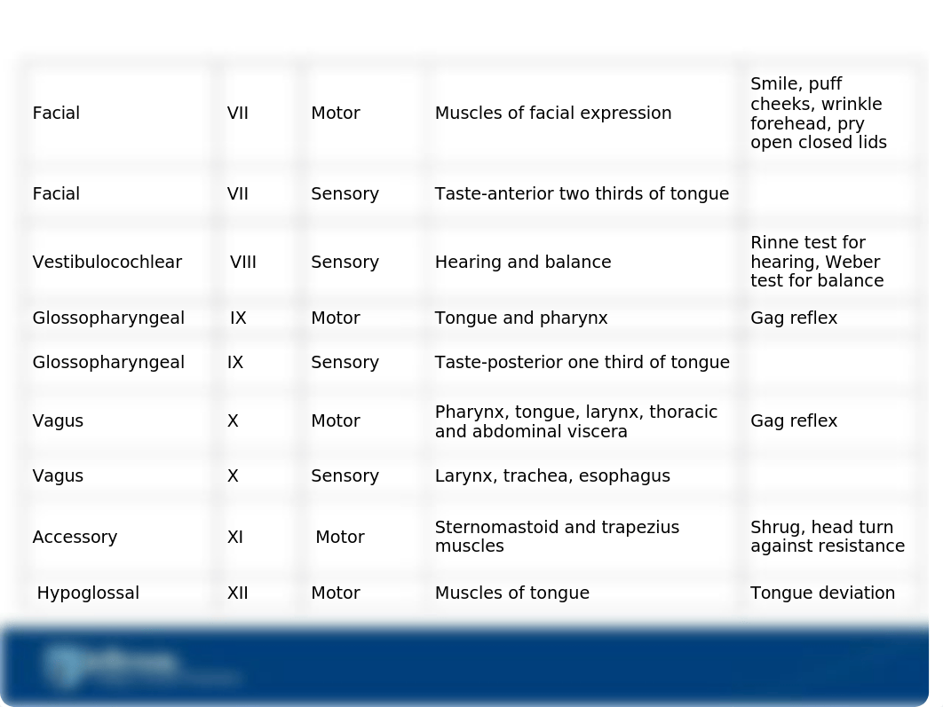 Cranial Nerves Lecture(1).ppt_d9qn2lqho3y_page3