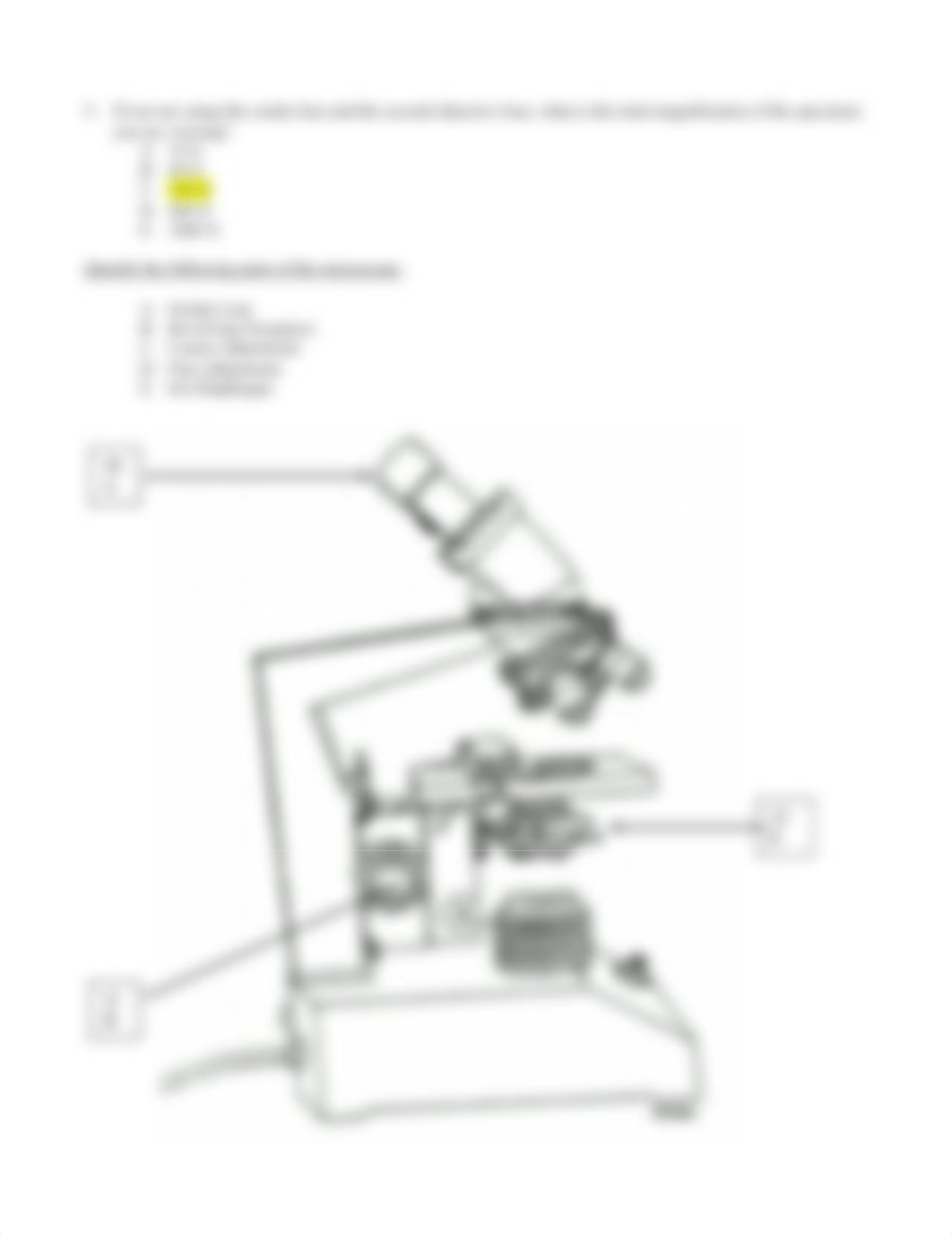 Lab Exam 1.doc_d9qo3kau4ma_page2