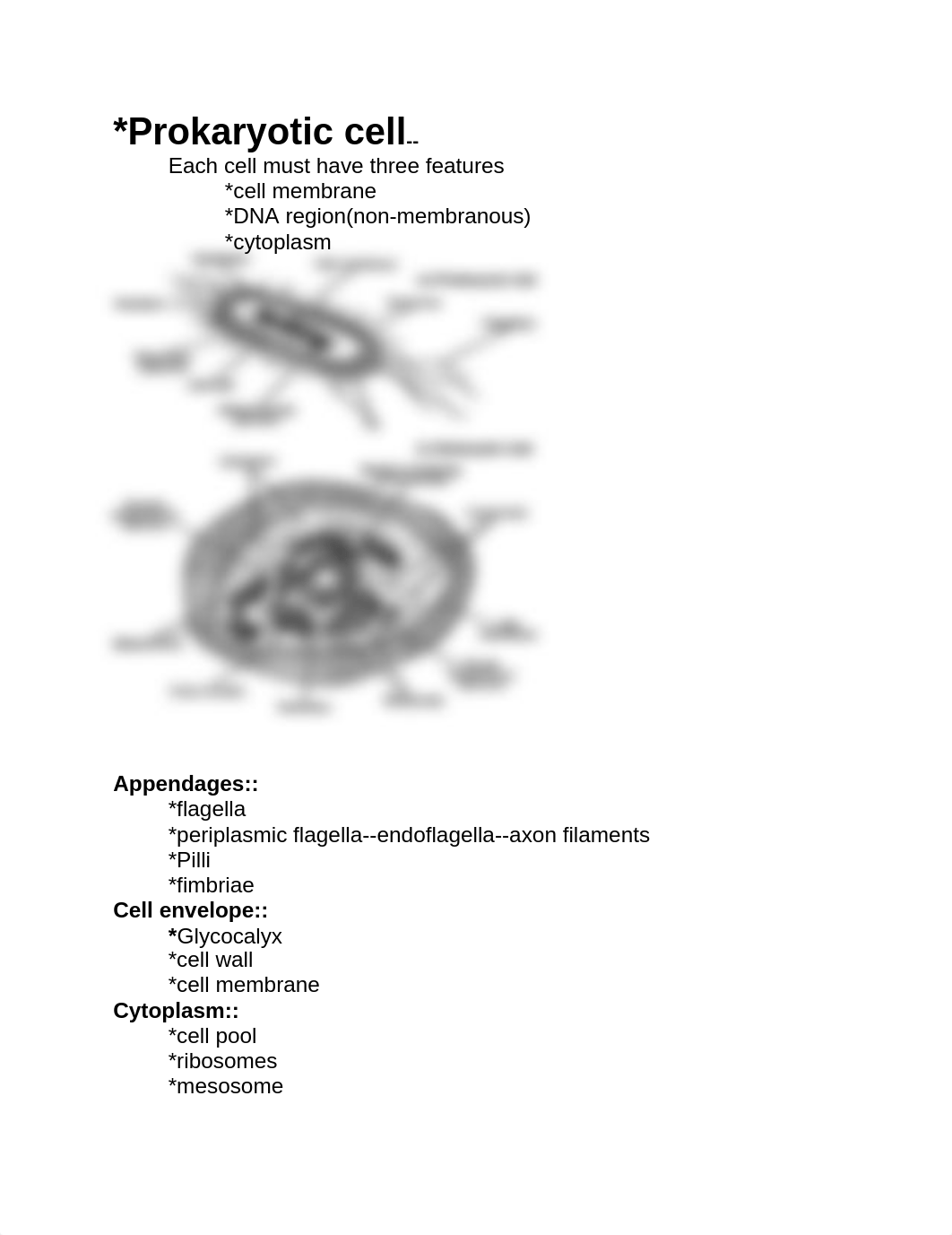 micro study guide 2.docx_d9qrca3eosk_page1