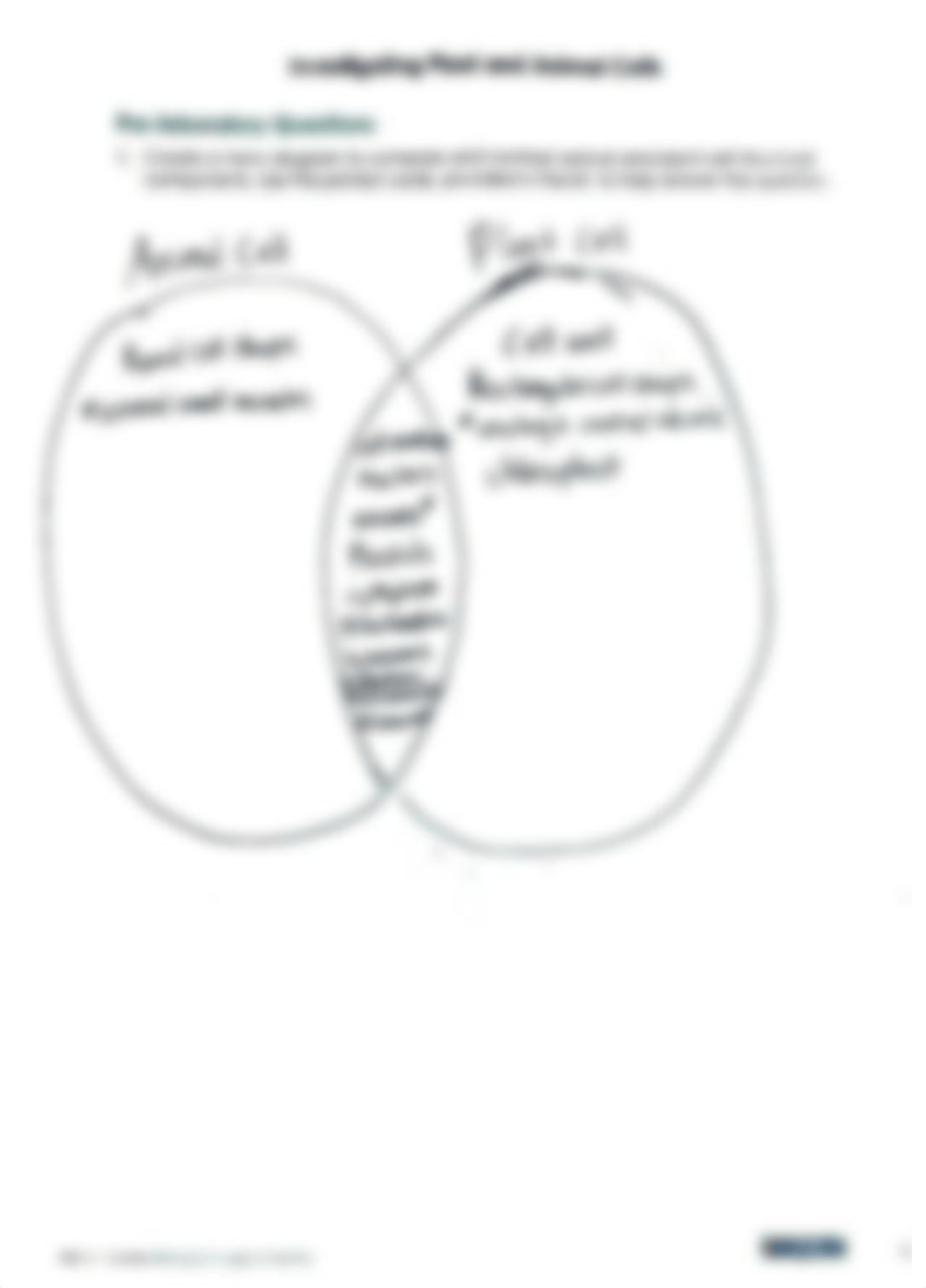 Lab9 Plant and Animal Cells.pdf_d9qz7ruvh0b_page1