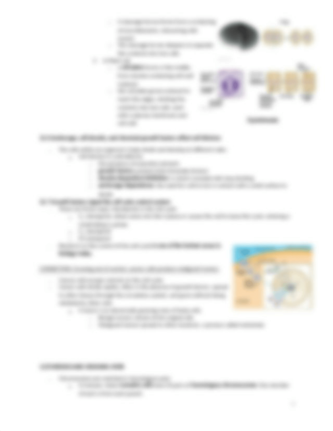 BIO 3 notes_d9r1o0e4q66_page3