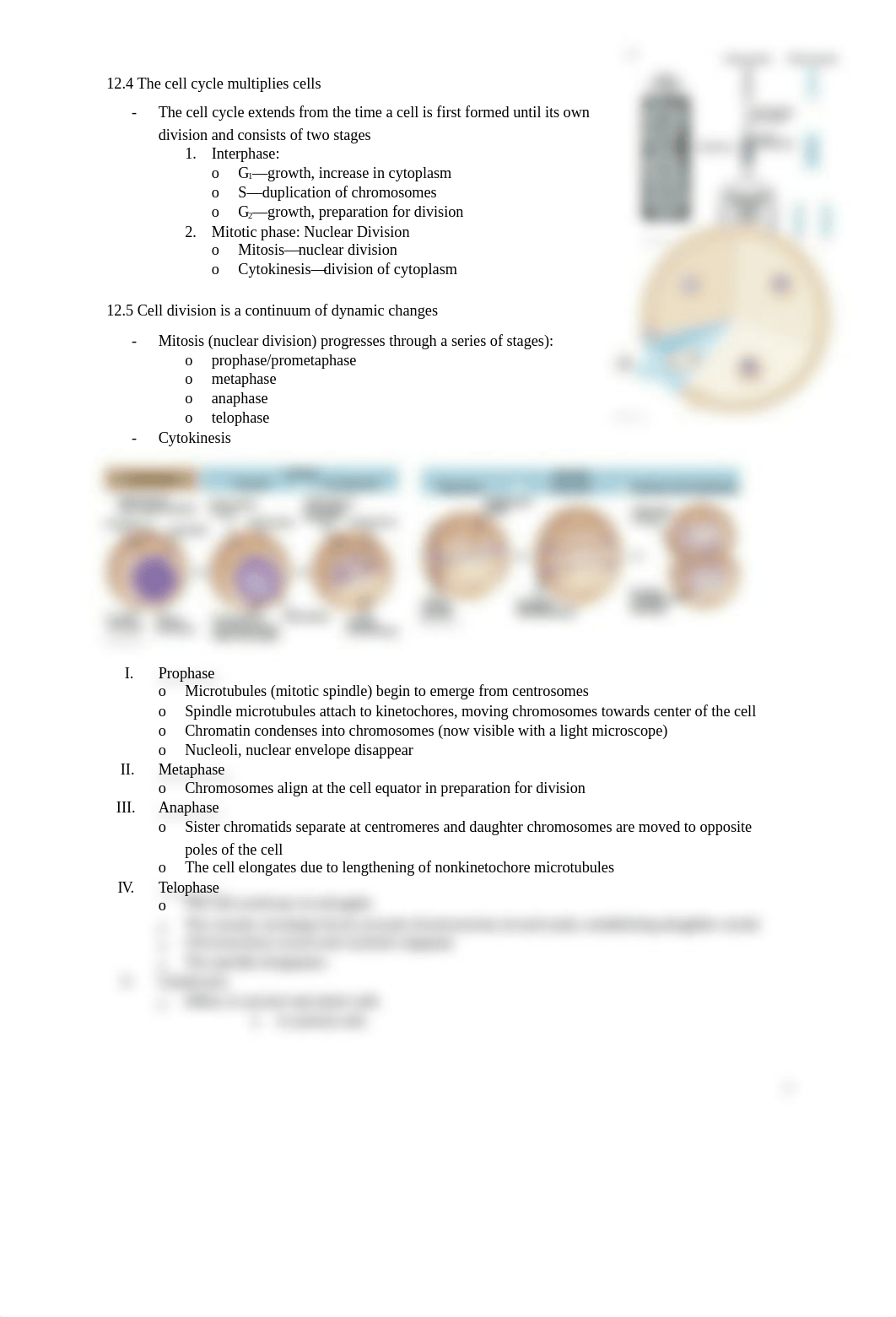 BIO 3 notes_d9r1o0e4q66_page2