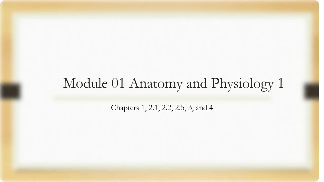 Module 01 Live Lecture  Anatomy and Physiology 1.pdf_d9r5ihnz40y_page4