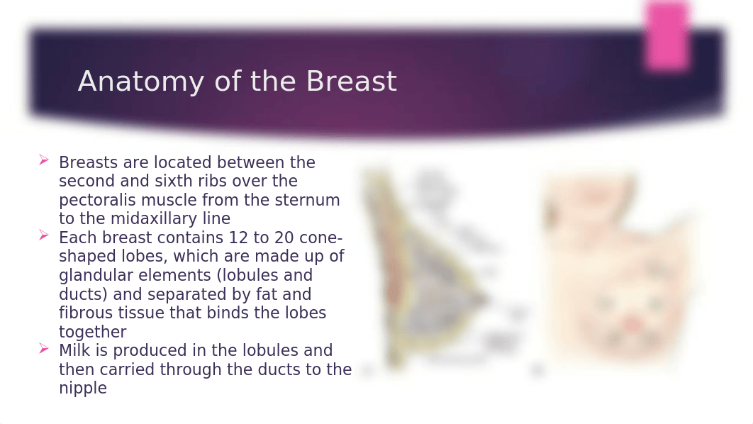 Chapter 58.breast disorders.student view.pptx_d9r6e5ee8mz_page4