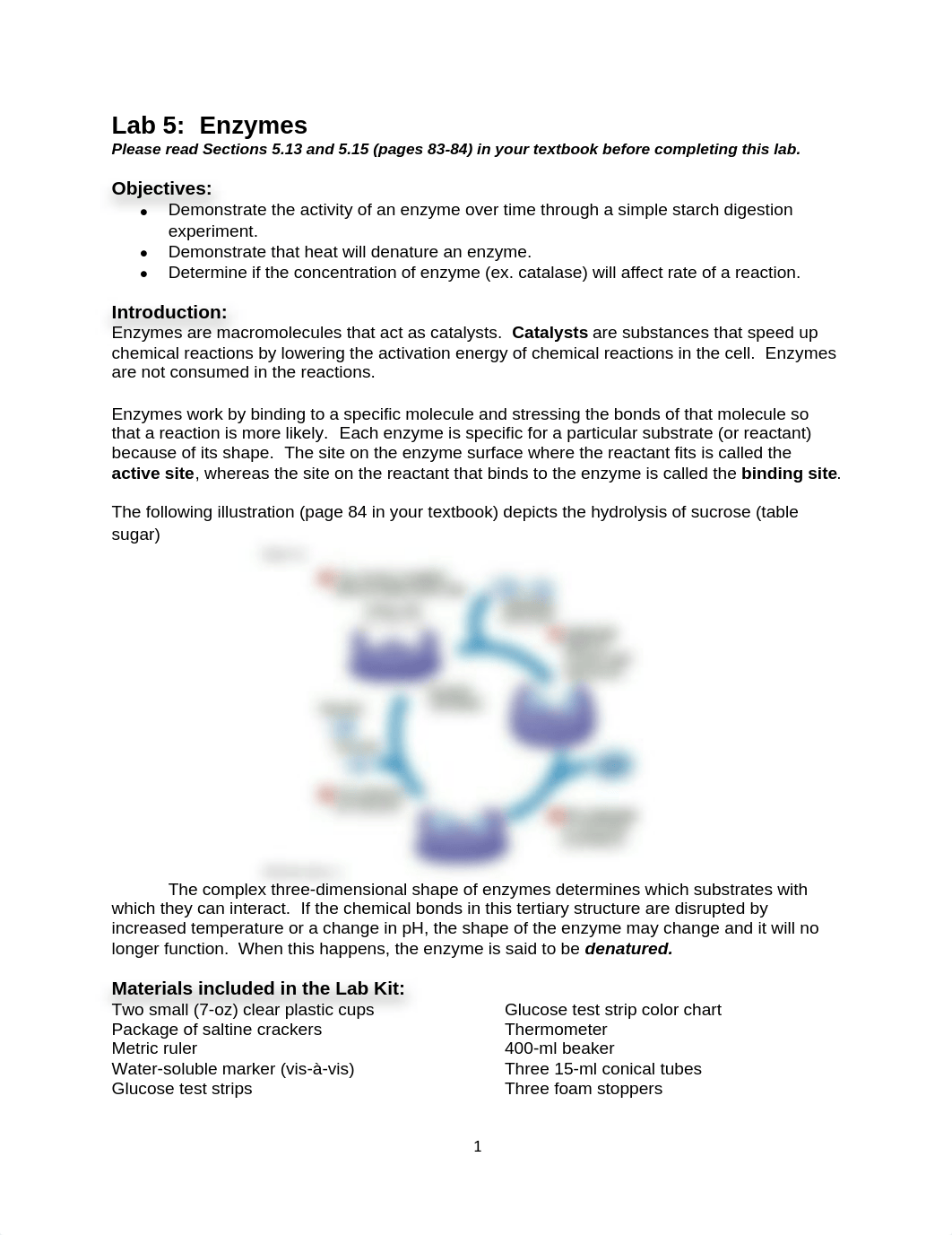 Lab 5 - Enzymes.pdf_d9r6wq68jee_page1