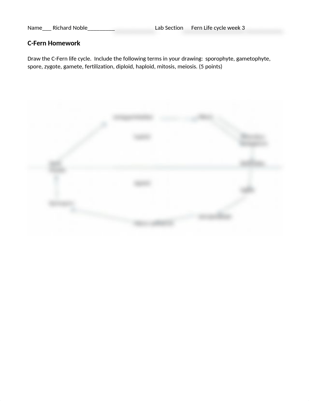 C Fern Homework assignment 3 chi square calculations.docx_d9r9mfsduxo_page1