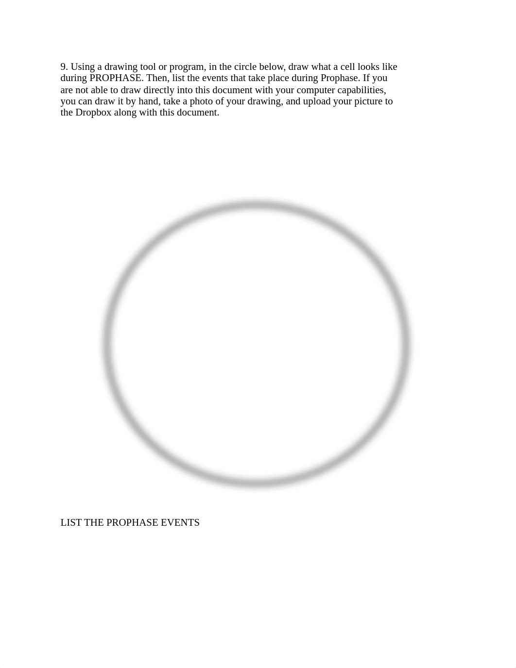 BIO 210 Lab 4 Mitosis and Tissues SP2021.pdf_d9re34nr64l_page2