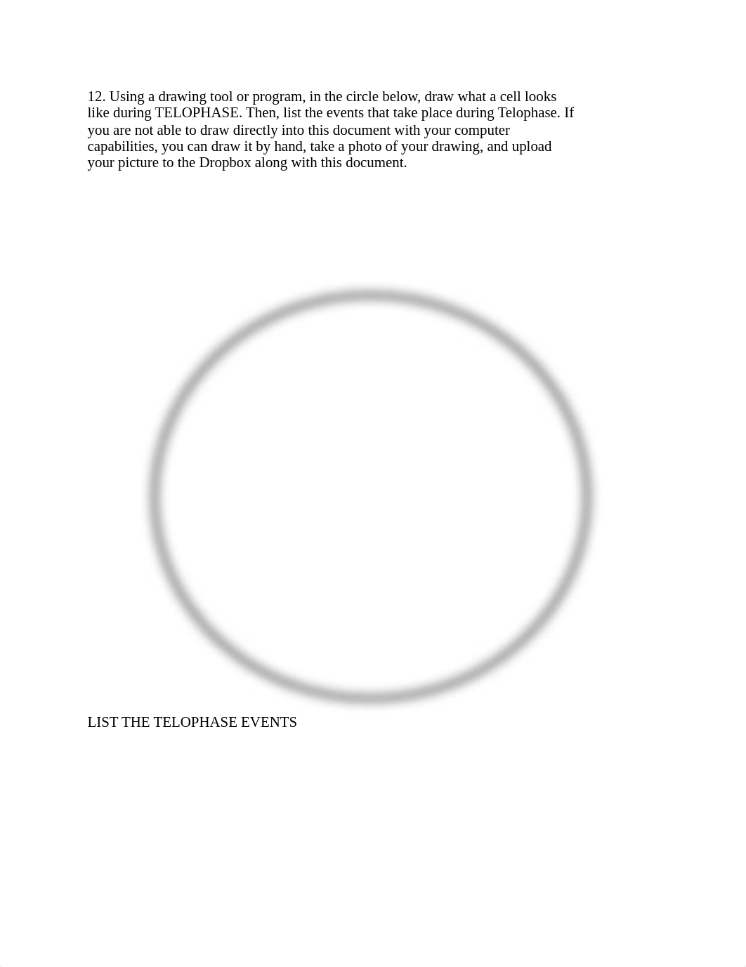 BIO 210 Lab 4 Mitosis and Tissues SP2021.pdf_d9re34nr64l_page5