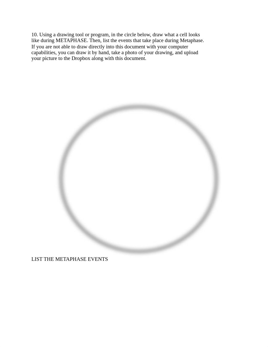 BIO 210 Lab 4 Mitosis and Tissues SP2021.pdf_d9re34nr64l_page3