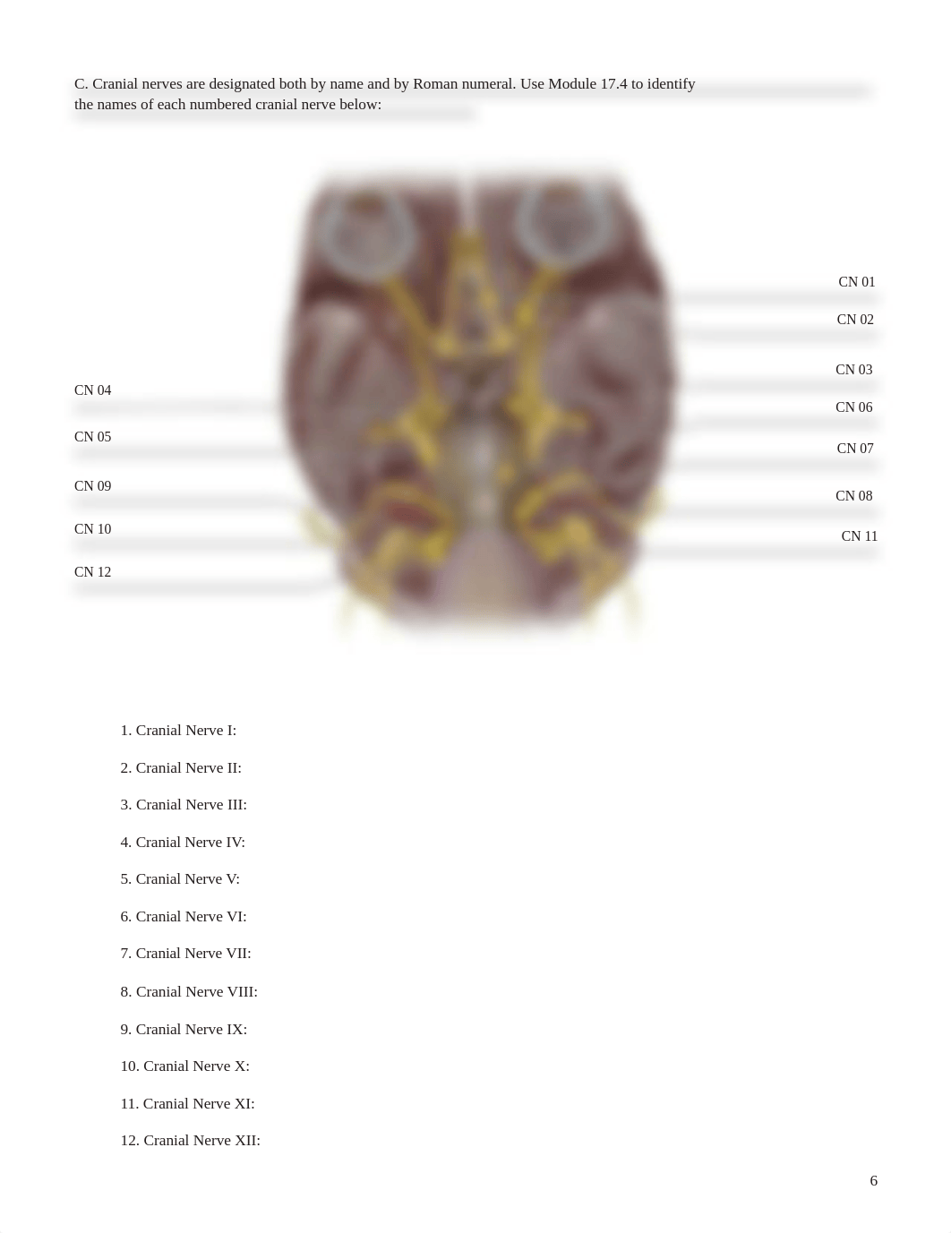 A&P1 Cranial Nerves.pdf_d9regcwycjn_page5