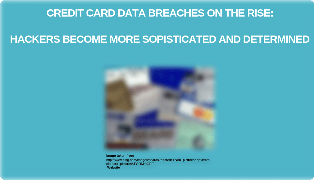 Credit Card Data Breaches Presentation (1)_d9rypeamtl9_page1