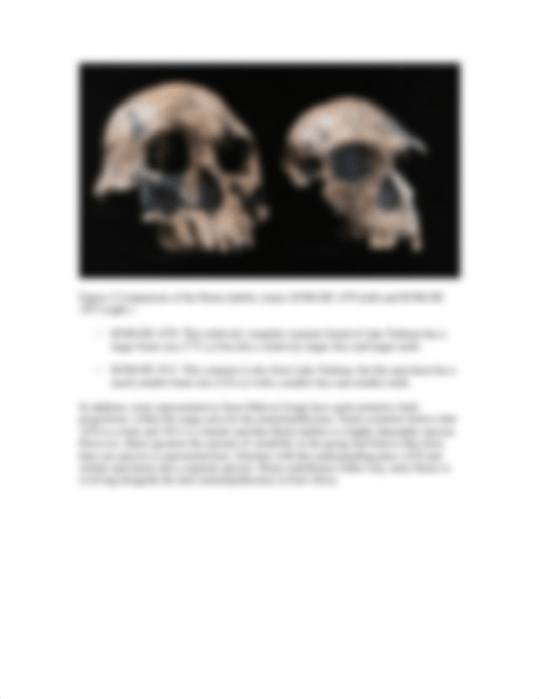 Genus Homo Lab (2).docx_d9s1x3850j9_page4