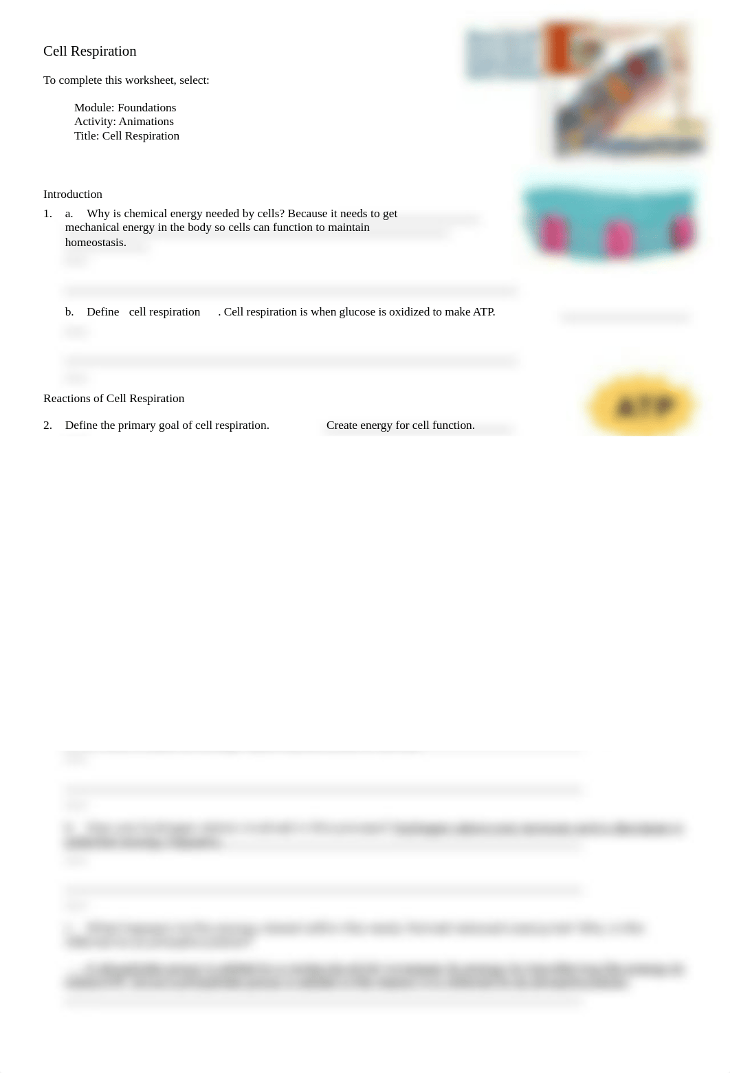 cell respiration3 - Copy.doc_d9s3tjgtooo_page1