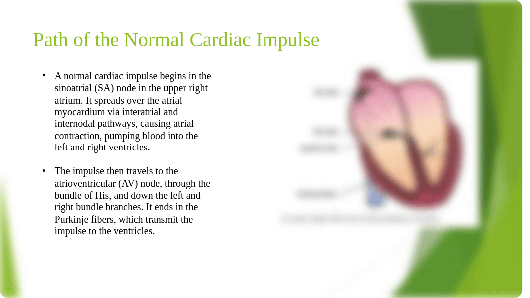 Basic ECG Interpretation.pptx_d9s7hig610t_page5