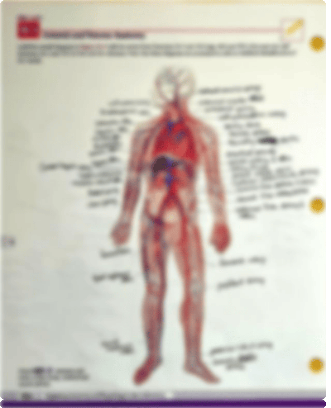 Prelab 18-1,18-2, 18-3, 19-1.pdf_d9s7ua5abk8_page3