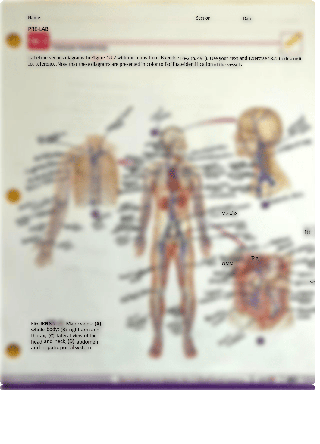 Prelab 18-1,18-2, 18-3, 19-1.pdf_d9s7ua5abk8_page2