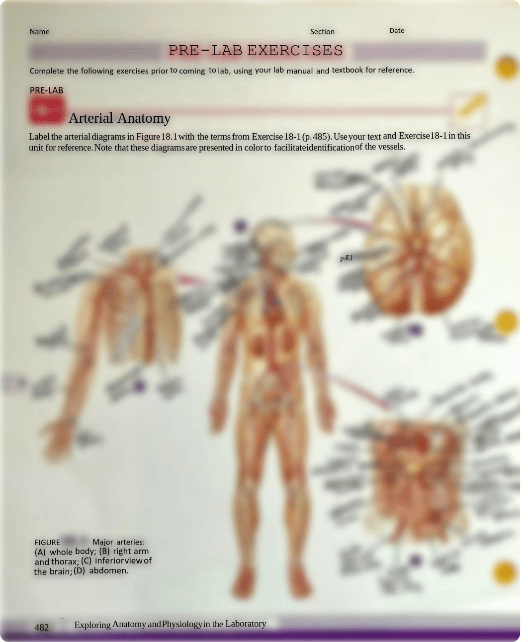 Prelab 18-1,18-2, 18-3, 19-1.pdf_d9s7ua5abk8_page1