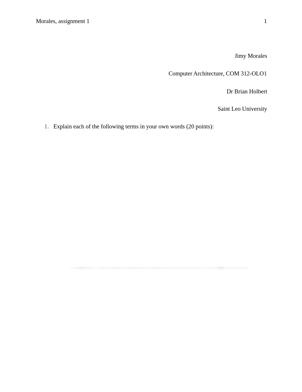 Assignment 1.docx_d9s93su16py_page1