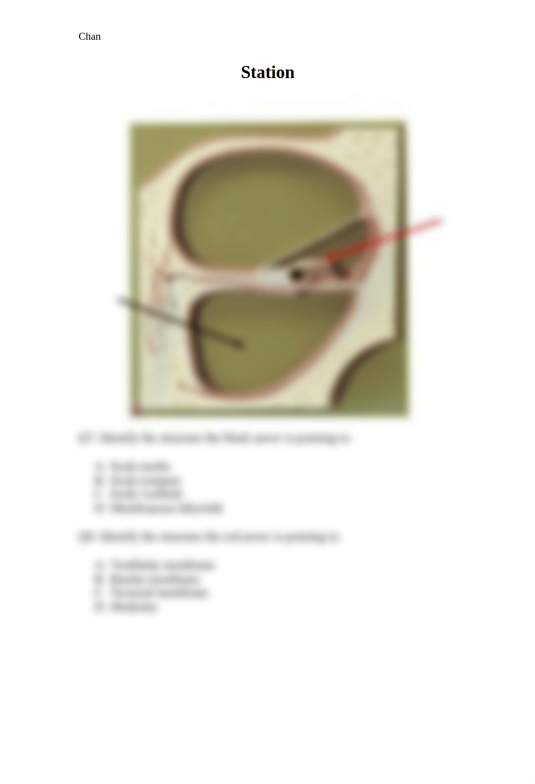 Lab_exam_4__review_questions.pdf_d9s9wp6uens_page5