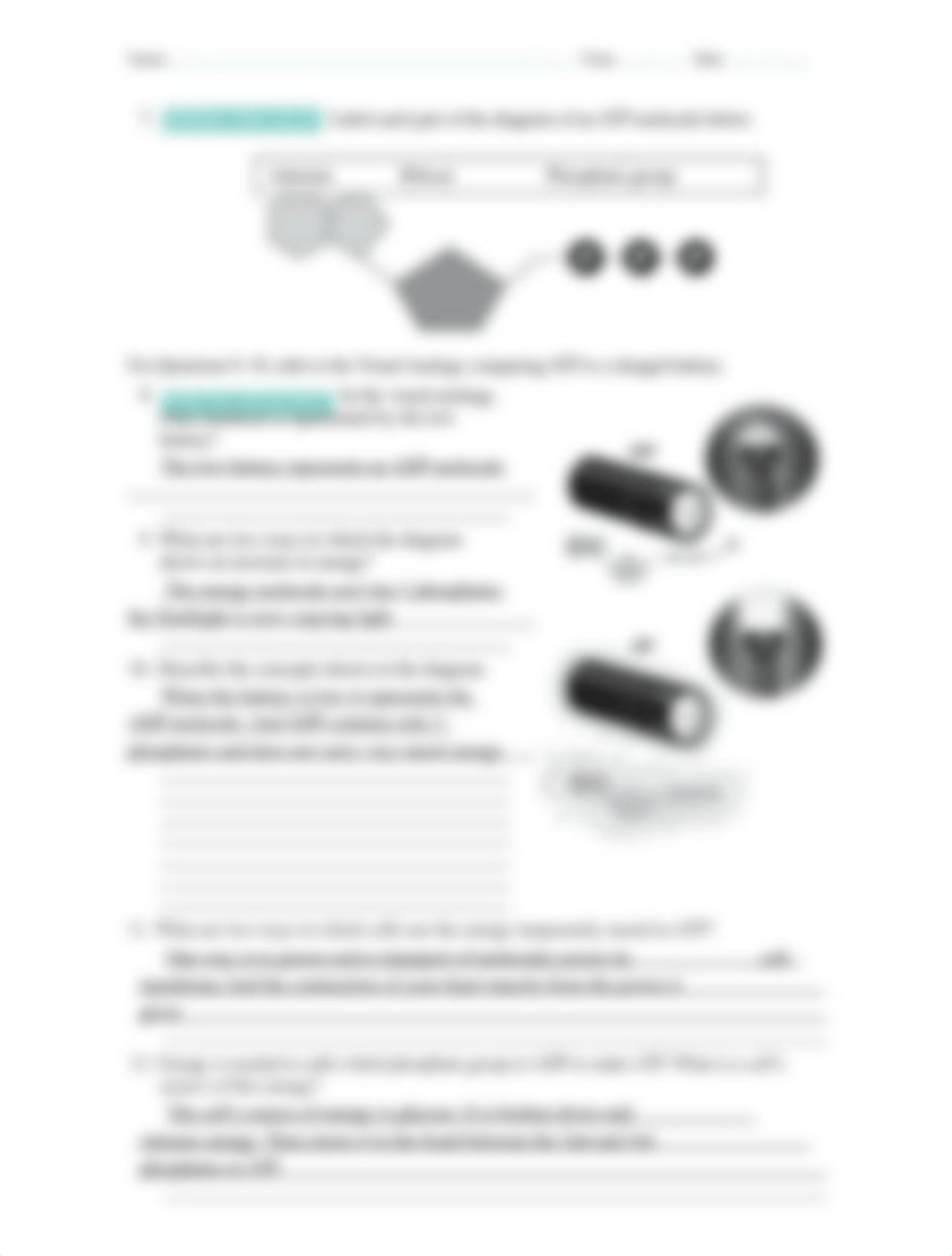 8.1_Energy_and_Life_worksheet.doc_d9saz7p5otj_page2