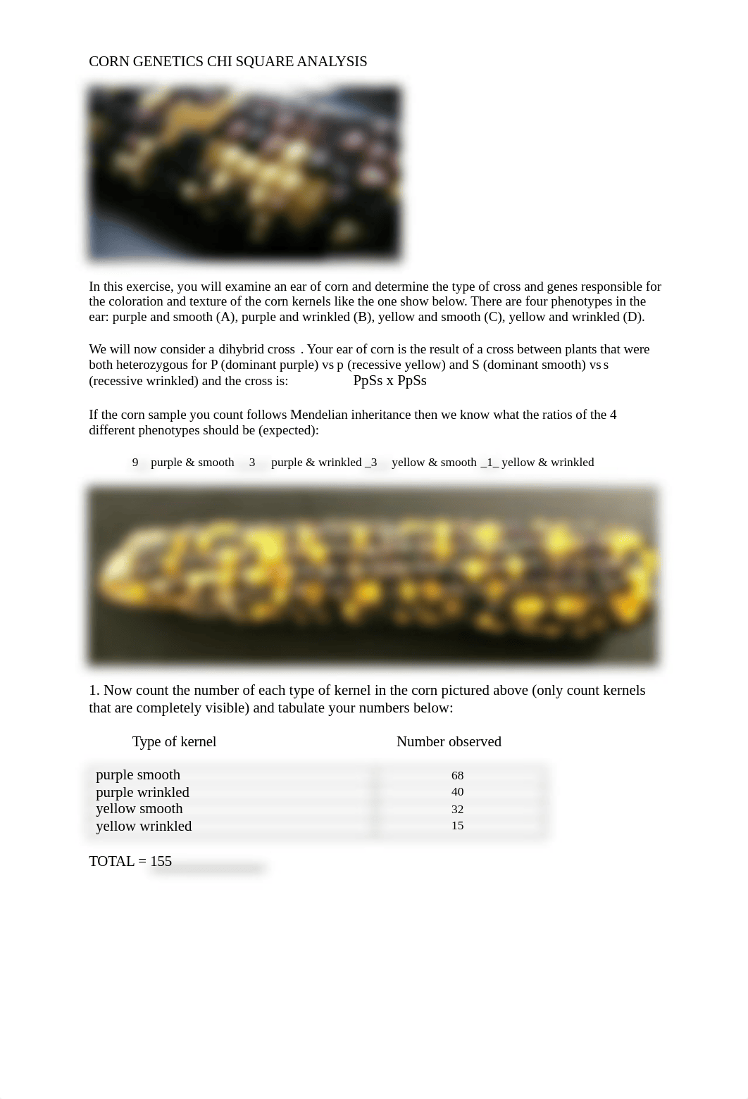 Genetics - Chi Square Lab.docx_d9sgjy0j4ao_page1