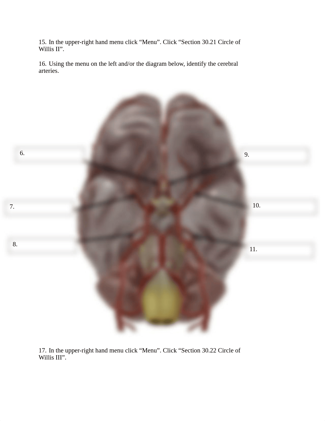 BIO 211 Lab 3 Online Lab Activity YTC Complete (3).docx_d9sn5lwtcfy_page4