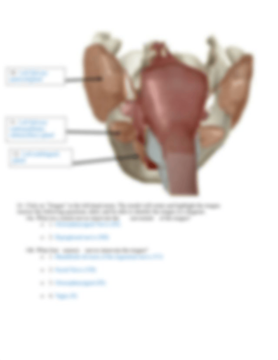 ANSWERS BIO 211 Lab 7 Online Lab Activity YTC Complete (1).docx_d9sr9725kst_page4