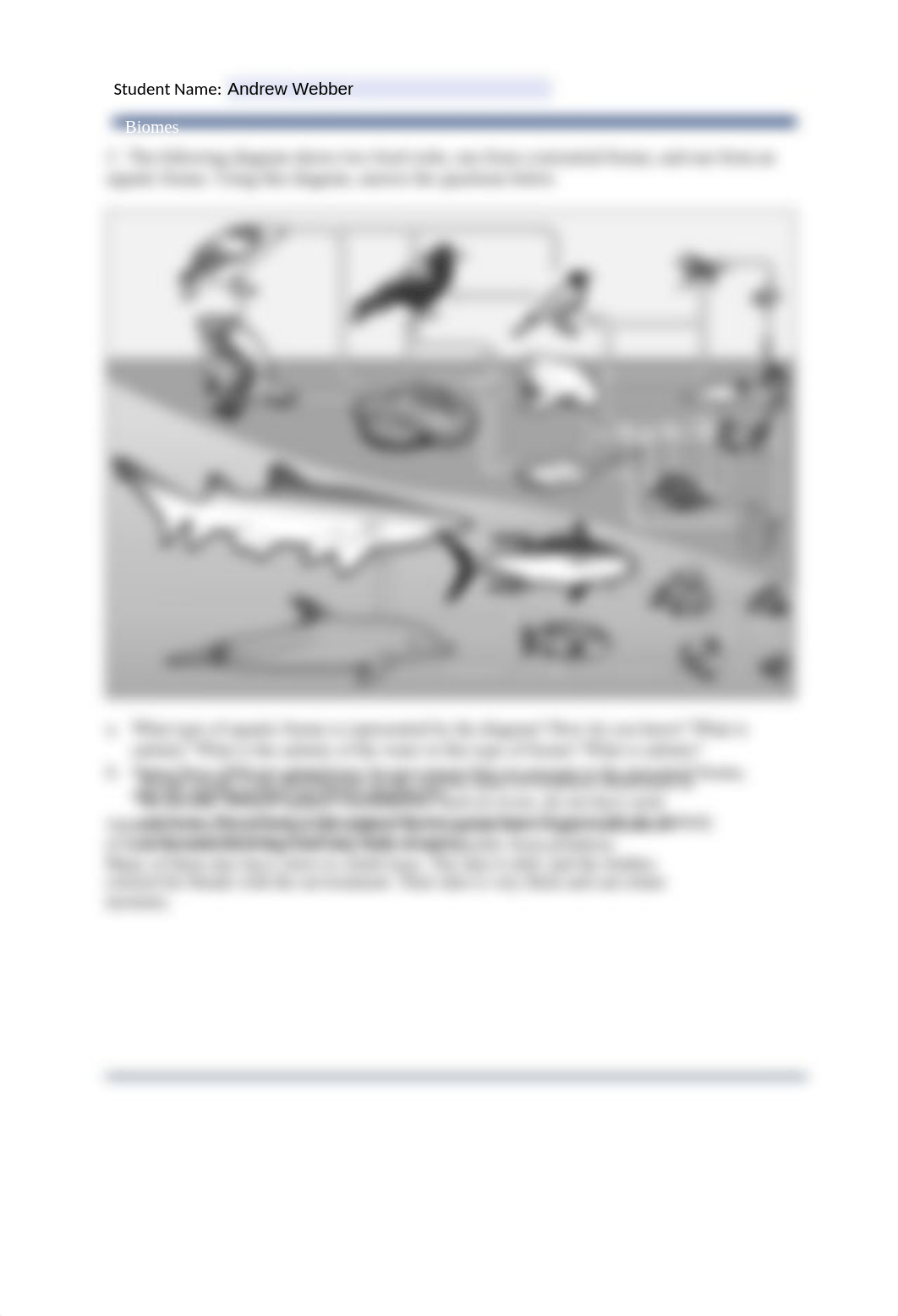 11.3_ComparingBiomesAndAnalyzingAdaptations_worksheet.doc_d9srnc9qdd7_page2