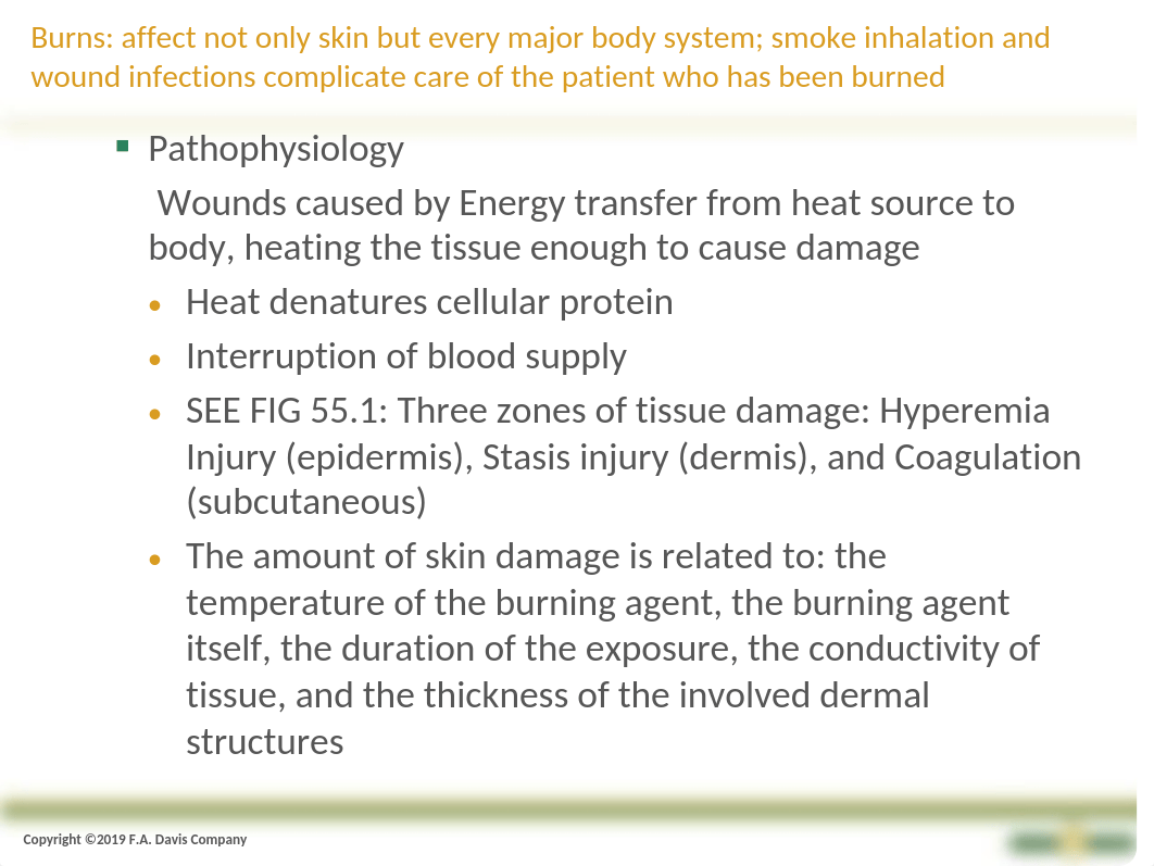 Ch55+Nursing+Care+of+Patients+with+Burns copy.pptx_d9t0rij3p66_page2