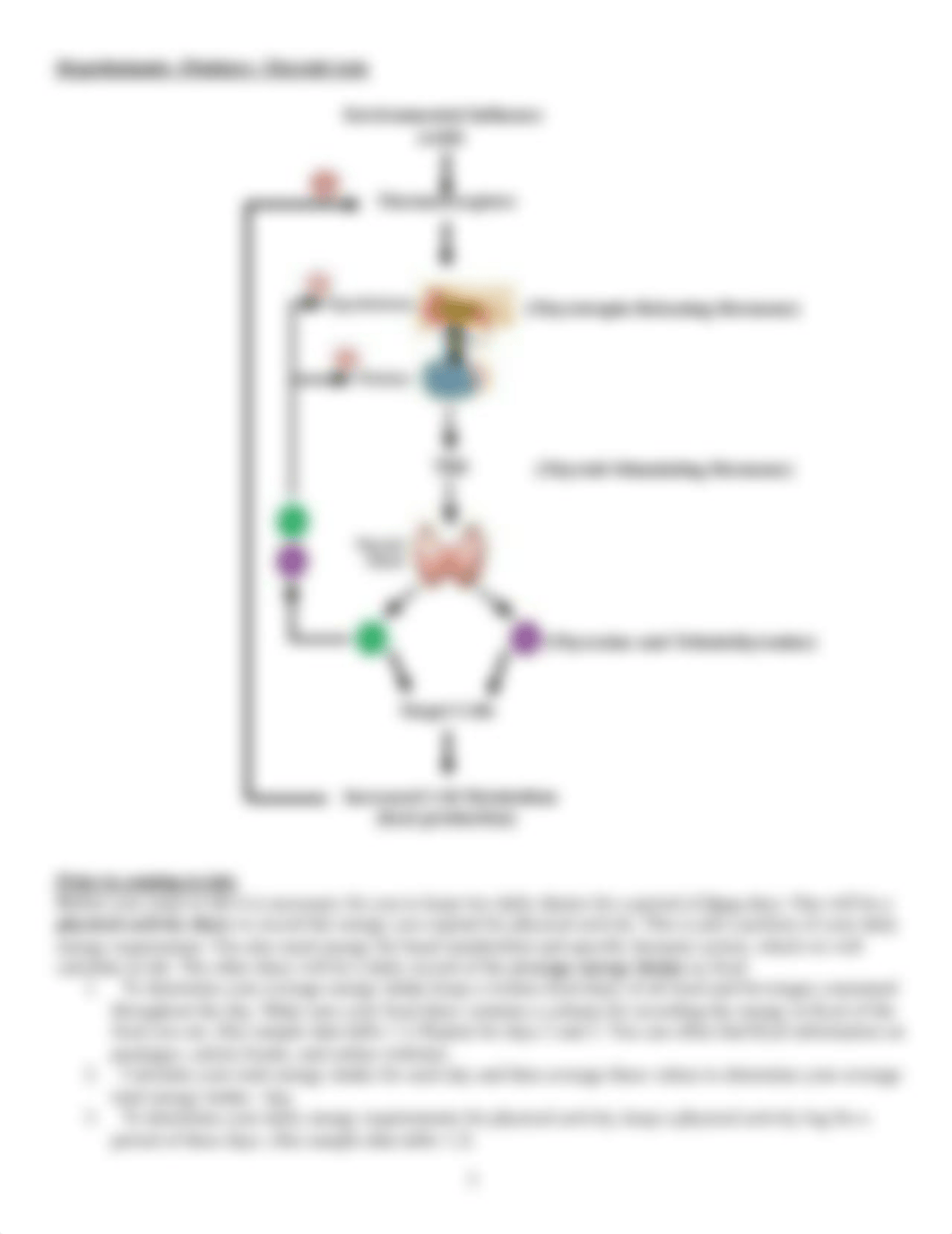 Metabolism Lab-2_d9tig8kpmis_page3