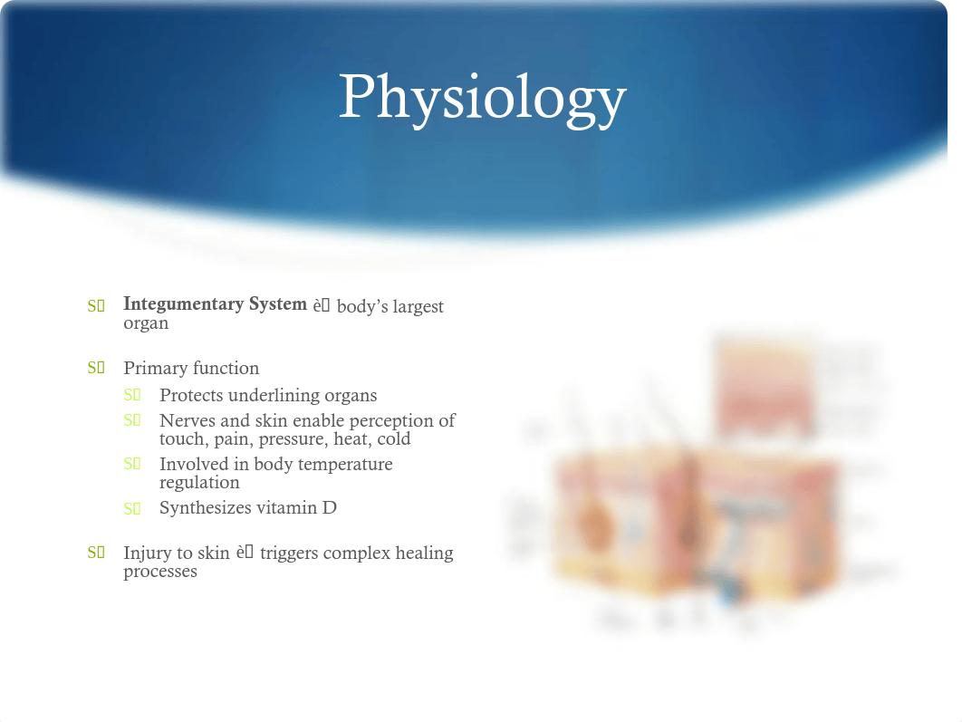 Tissue Integrity.pdf_d9tmn0tbq07_page2